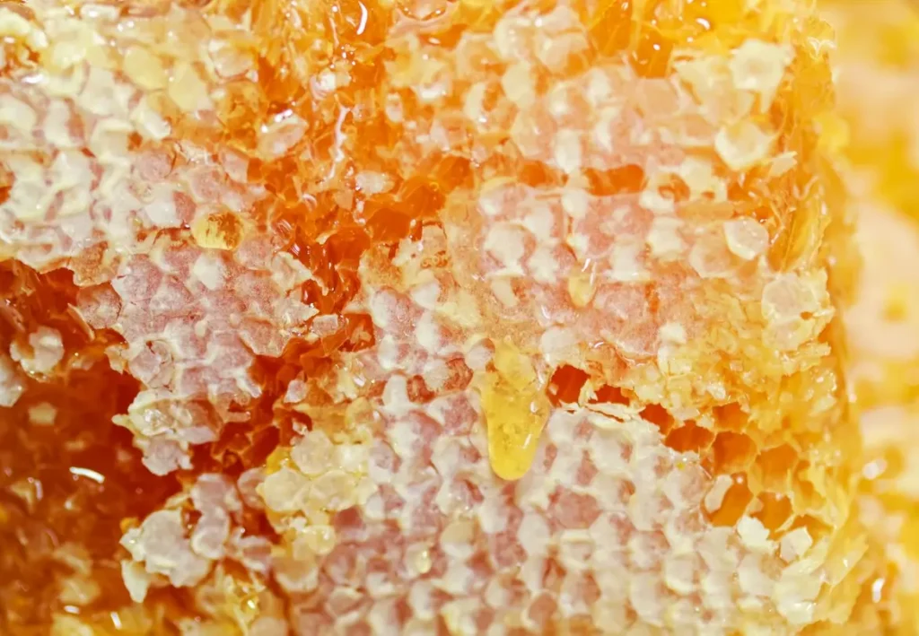 Fresh honey, the primary sweetener used in Viking times, answering what kind of candy did Vikings eat.