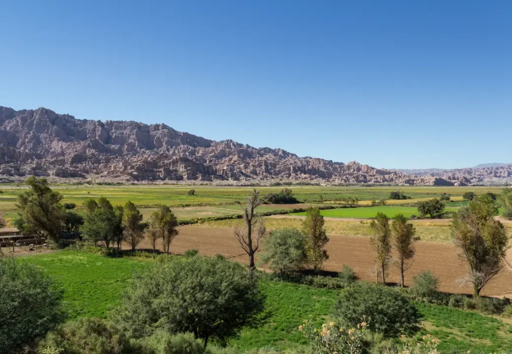 El Carmen Historical Site